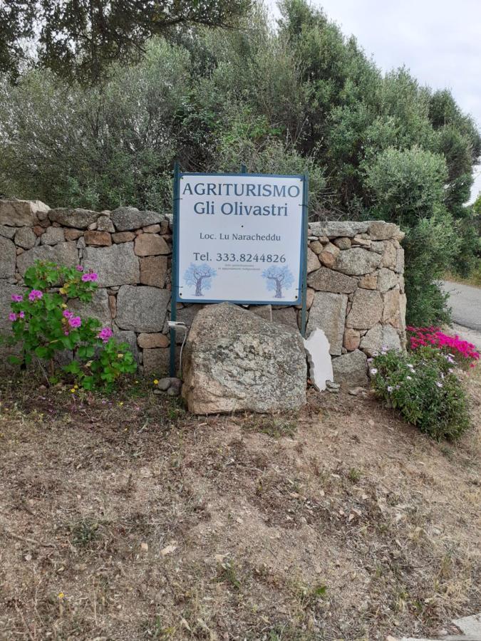 Agriturismo Gli Olivastri Aglientu Exterior foto