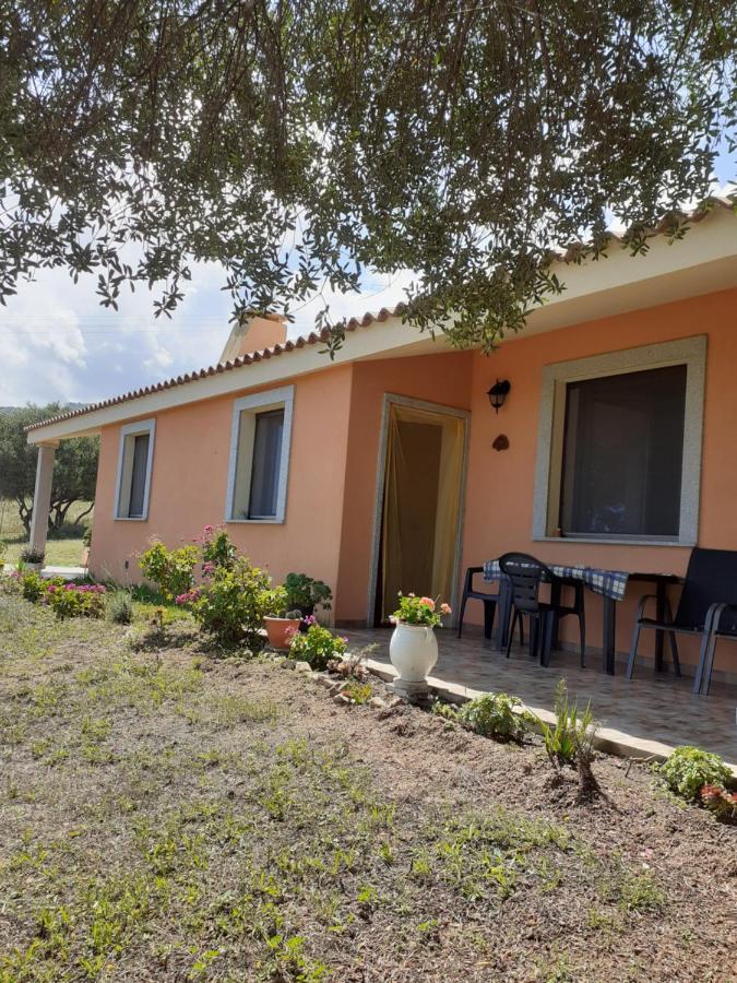 Agriturismo Gli Olivastri Aglientu Exterior foto