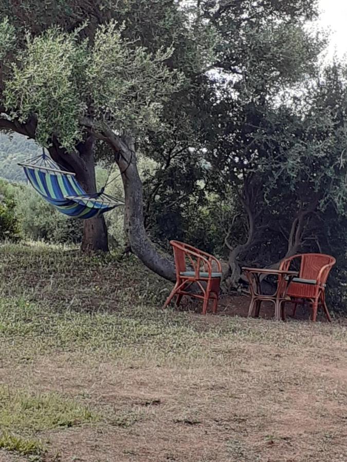 Agriturismo Gli Olivastri Aglientu Exterior foto