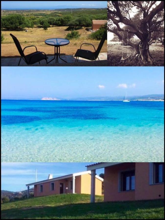 Agriturismo Gli Olivastri Aglientu Exterior foto